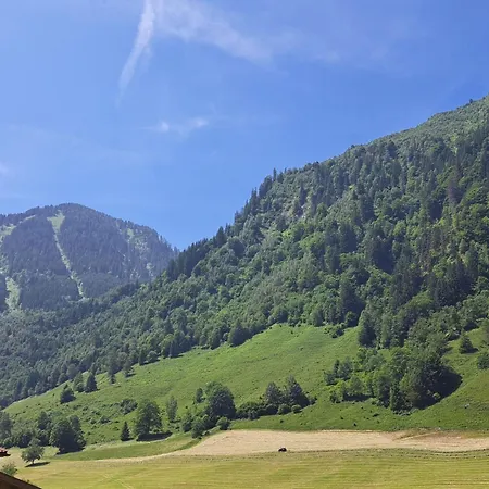 Apartamento Haus Dankl By Interhome *